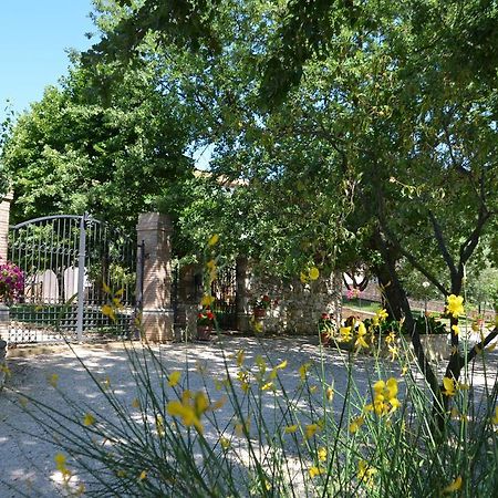 אפרטהוטל אמליה Casale Santa Caterina מראה חיצוני תמונה