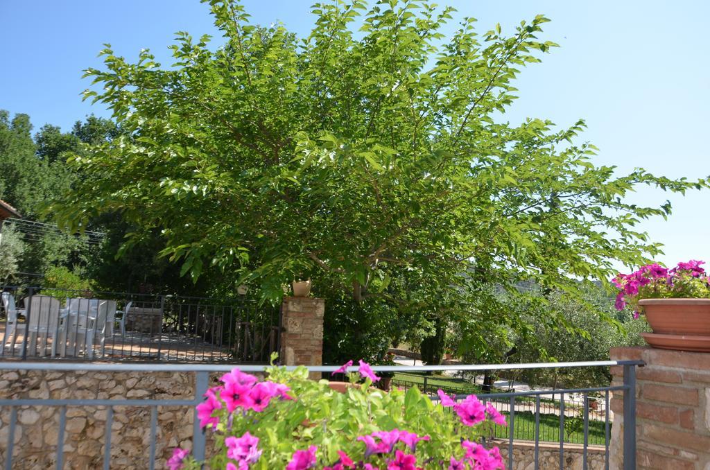 אפרטהוטל אמליה Casale Santa Caterina מראה חיצוני תמונה